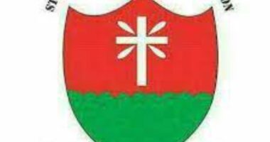 St. Francis College of Education (FRANCO) logo